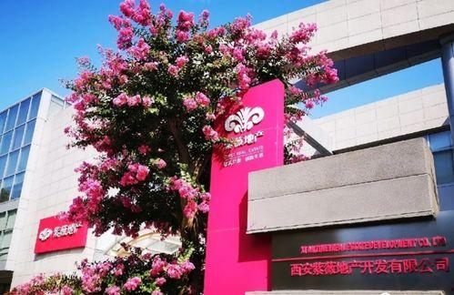 紫薇地产背景,打造绿色宜居，引领城市美好生活